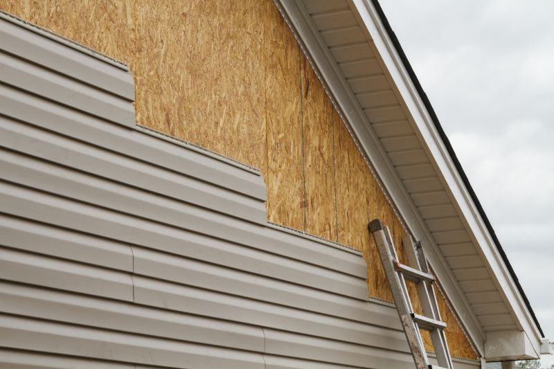 Vinyl Siding Replacement detail